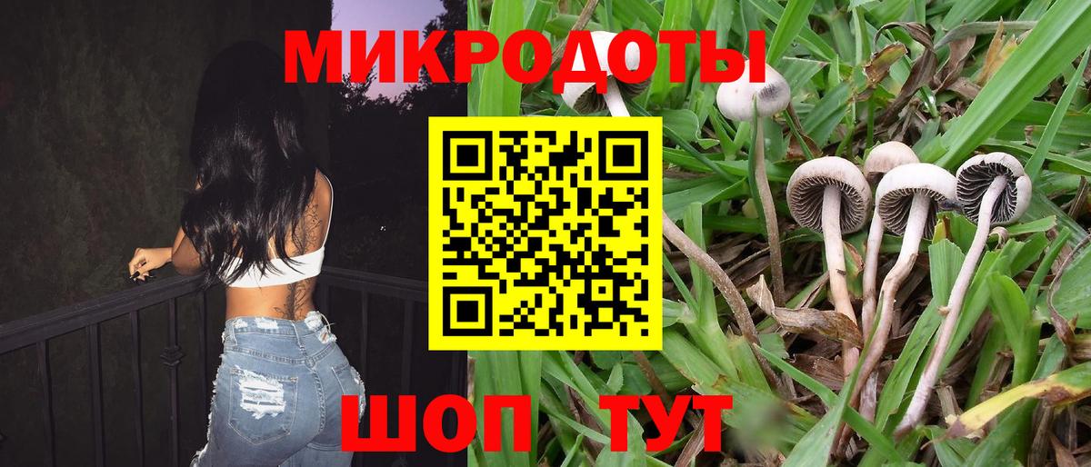 Галлюциногенные грибы ЛСД  Вход с VPN  Усть-Илимск 
